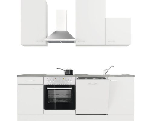 Volledige keukenunit met spoelbak, kookplaat, oven, vaatwasser, afzuigkap en bovenkasten.