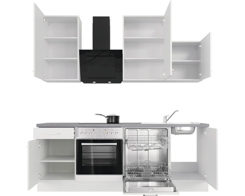 Keukenblok met spoelbak, vaatwasser, kookplaat, oven, afzuigkap en kasten