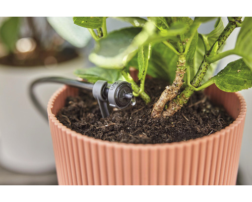 Irrigatiesysteem voor potplant in gebruik