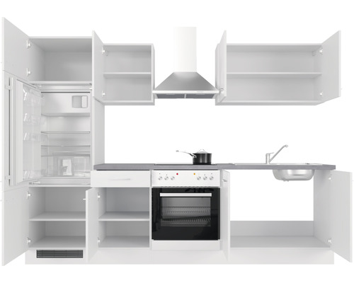 Complete keukenunit met kasten, koelkast, fornuis, gootsteen en afzuigkap