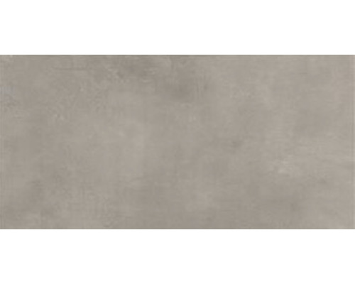 Wand- en vloertegel Siero gris 60x120 cm gerectificeerd