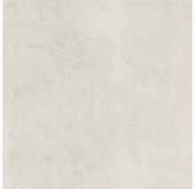 Wand- en vloertegel Antiq ivory 60x60 cm gerectificeerd