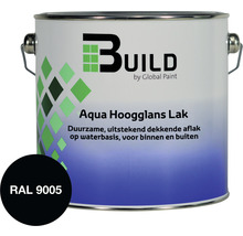 Blik Aqua Hoogglans Lak voor binnen en buiten
