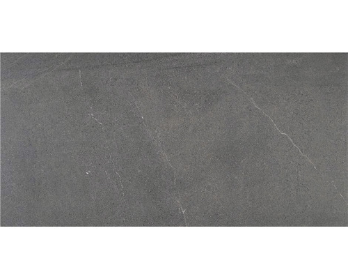 Wand- en vloertegel Belvieux grafiet mat 60x120 cm gerectificeerd