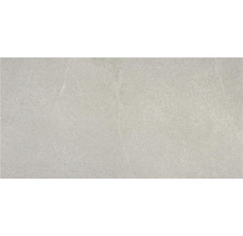 Wand- en vloertegel Belvieux grey mat 60x120 cm gerectificeerd
