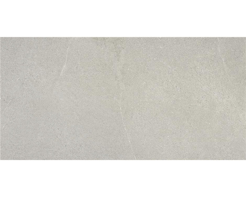 Wand- en vloertegel Belvieux grey mat 60x120 cm gerectificeerd