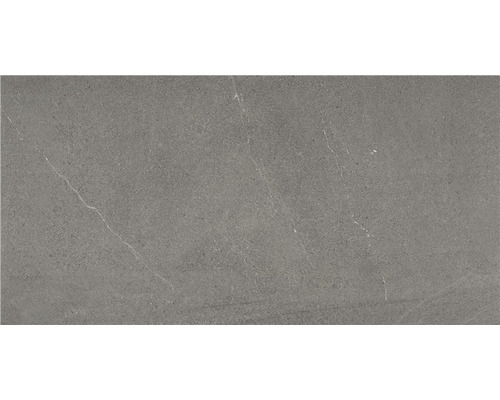Wand- en vloertegel Belvieux stone mat 60x120 cm gerectificeerd