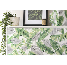 D-C-FIX Plakfolie Liva bladeren groen 45x200 cm