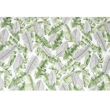D-C-FIX Plakfolie Liva bladeren groen 45x200 cm