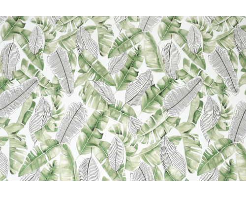 D-C-FIX Plakfolie Liva bladeren groen 45x200 cm Behang met tropisch bladerpatroon