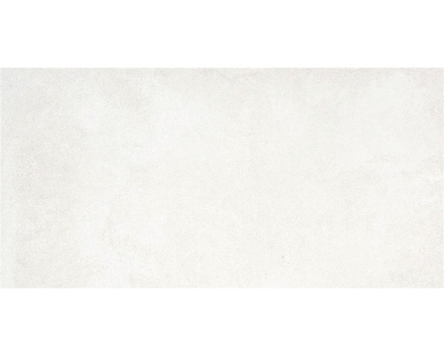 Wand- en vloertegel Ecco blanco mat 30x60 cm