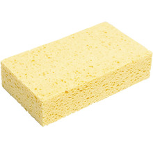 Reinigingsspons