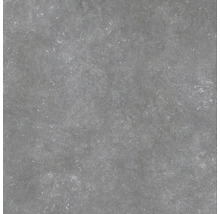 Wand- en vloertegel Belstone silver 60x60 cm gerectificeerd