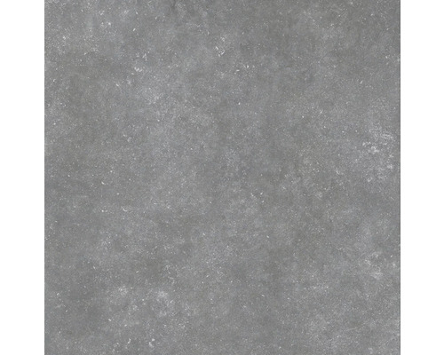Wand- en vloertegel Belstone silver 60x60 cm gerectificeerd
