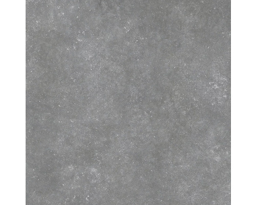 Wand- en vloertegel Belstone silver 60x60 cm gerectificeerd Grijze tegel met matte afwerking