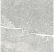 Wand- en vloertegel Teloez pearl 60x60 cm gerectificeerd