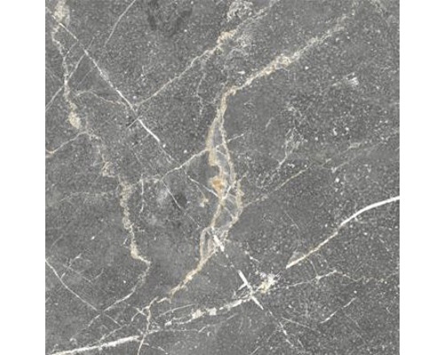 Wand- en vloertegel Teloez dark 60x60 cm gerectificeerd Tegelpatroon met marmerlook