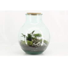 Glazen fles met planten en stenen als terrarium