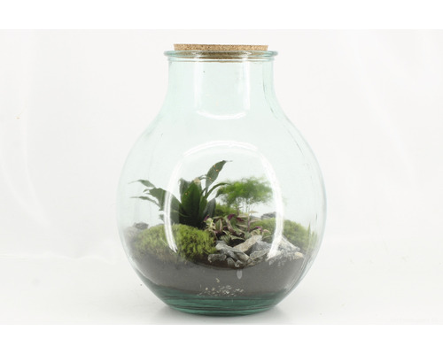 Glazen fles met planten en stenen als terrarium