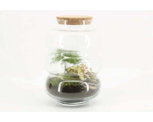 Terrarium in glas met kurkdeksel en planten