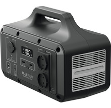 Draagbare BluePalm Power Station met display, USB- en stopcontactaansluitingen