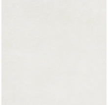 Wand- en Vloertegel Bologna wit 60x120 cm gerectificeerd