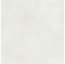 Wand- en Vloertegel Bologna wit 60x120 cm gerectificeerd