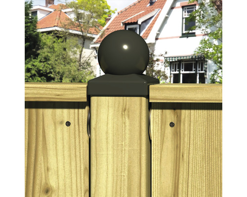 Schuttingpaal met bolvormige kop