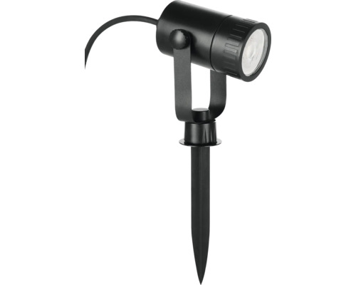 Zwarte tuinspot met grondpen