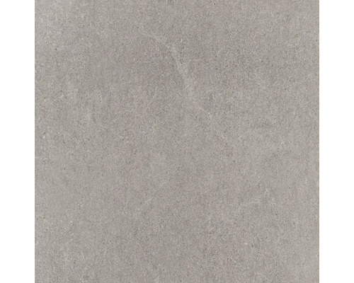 Wand- en vloertegel Calcatta pearl 90x90 cm gerectificeerd