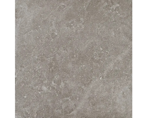 Wand- en vloertegel River taupe 58,5x58,5 cm gerectificeerd