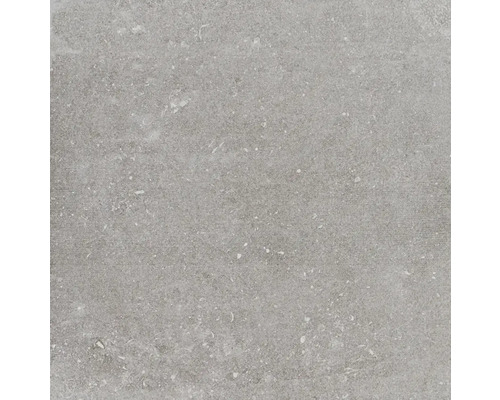 Grijze vloertegel van aardewerk