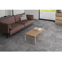 Wand- en vloertegel Belgium stone gris 50x50 cm
