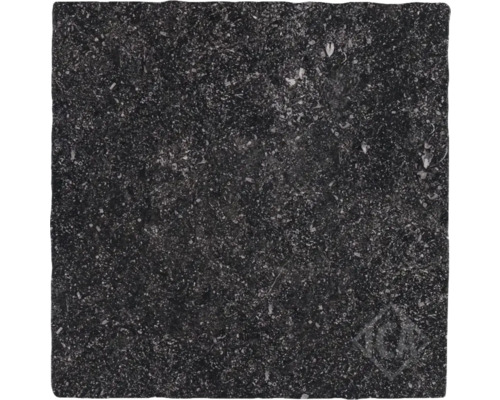 Donkere natuursteentegel met fossielen