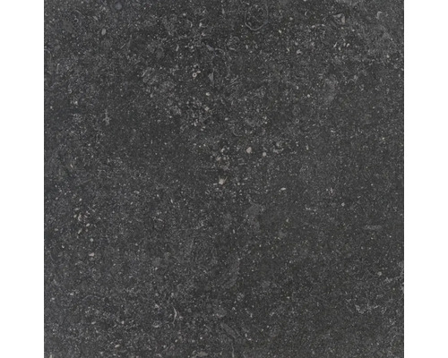 Donkere natuursteentegel voor binnen- en buitengebruik.