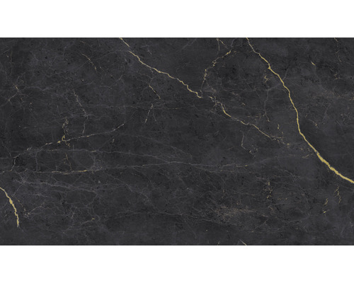 SCHULTE Doucheachterwand Decodesign zwart 255x150 cm