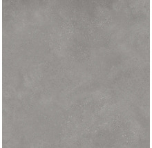 Wand- en Vloertegel Bergamo grijs 80x80 cm gerectificeerd