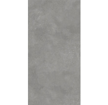 Wand- en Vloertegel Bergamo grijs 60x120 cm gerectificeerd