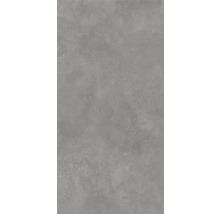 Wand- en Vloertegel Bergamo grijs 60x120 cm gerectificeerd