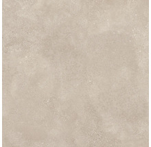 Wand- en Vloertegel Bergamo donkerbeige 80x80 cm gerectificeerd