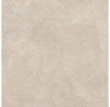 Wand- en Vloertegel Bergamo donkerbeige 80x80 cm gerectificeerd