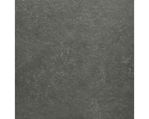 Tegel met steendecor