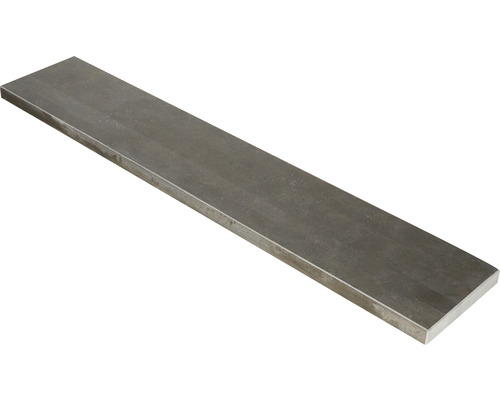 EXCLUTON Vijverrand Siam Bluestone , 100x20x3 cm Plat staal