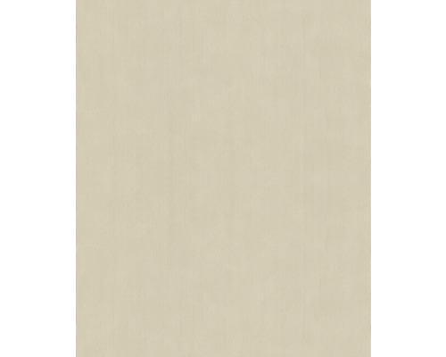 RASCH Vliesbehang 521450 Concrete uni beige