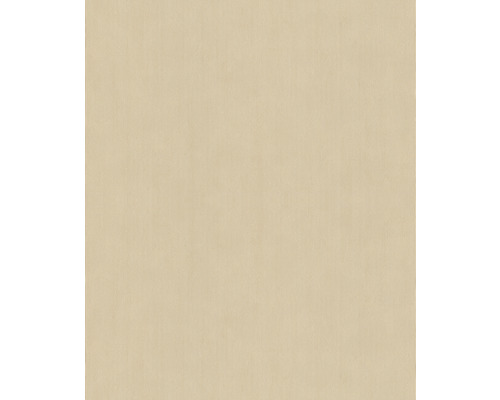 RASCH Vliesbehang 521467 Concrete uni beige