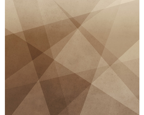 RASCH Fotobehang vlies 521931 Concrete grafisch bruin 350x300 cm Geometrisch patroon met overlappende driehoeken