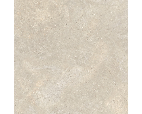 Wand- en vloertegel Dreamland zandbeige 120x120 cm gerectificeerd Tegelvoorbeeld van steengoed