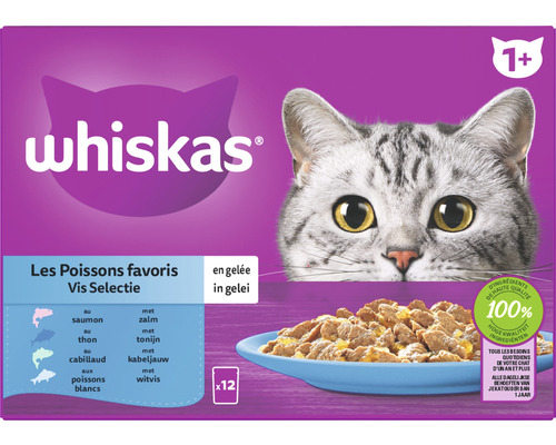 WHISKAS Kattenvoer adult vis multipack 12x85 g Whiskas vissoorten in gelei voor katten vanaf één jaar, 12 stuks