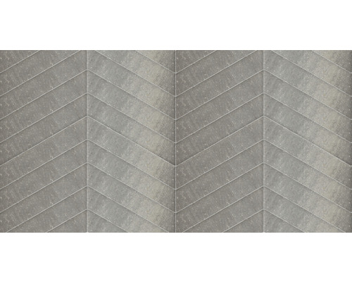 EXCLUTON Straatsteen Romano Punto grigio, 40x8x8 cm