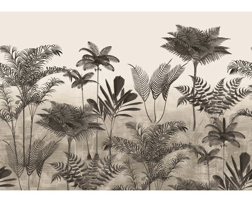 RASCH Fotobehang vlies 556254 Lirico bladeren 424x300 cm Junglebehang met palmen en varens